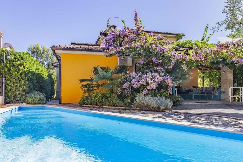 Istriensonne 0179 - Villa Romantika Mit Pool Лижнян Екстер'єр фото